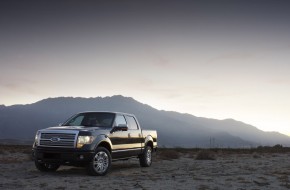 2009 Ford F-150