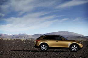 2010 Infiniti FX