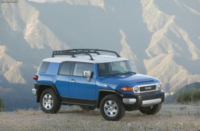 2010 Toyota FJ Cruiser