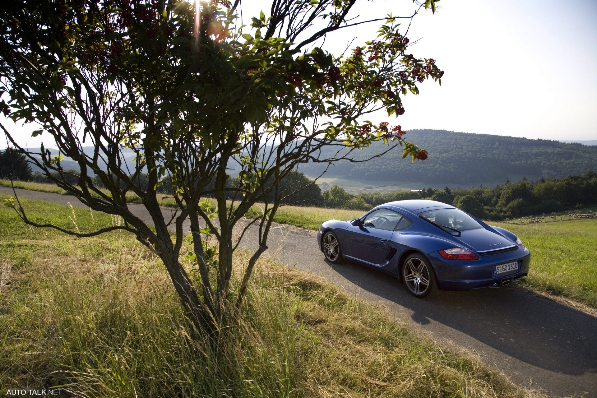 2007 Porsche Cayman