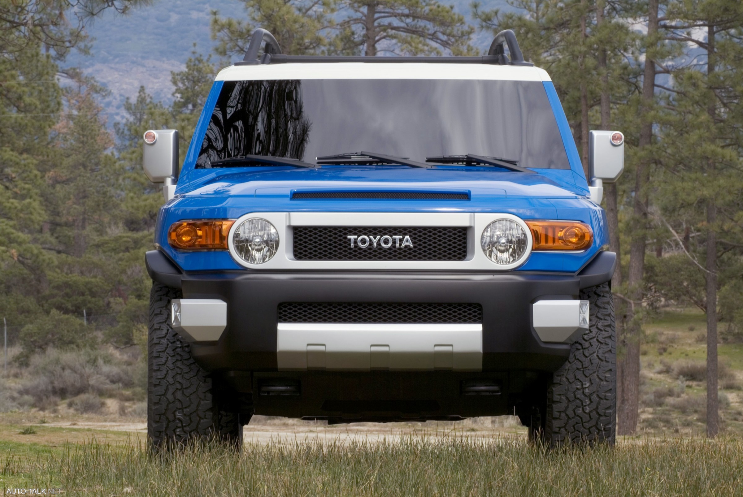 2007 Toyota FJ Cruiser