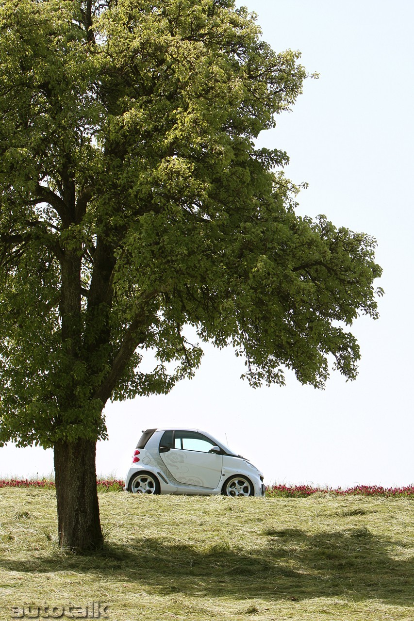 2008 Koenigseder Smart ForTwo