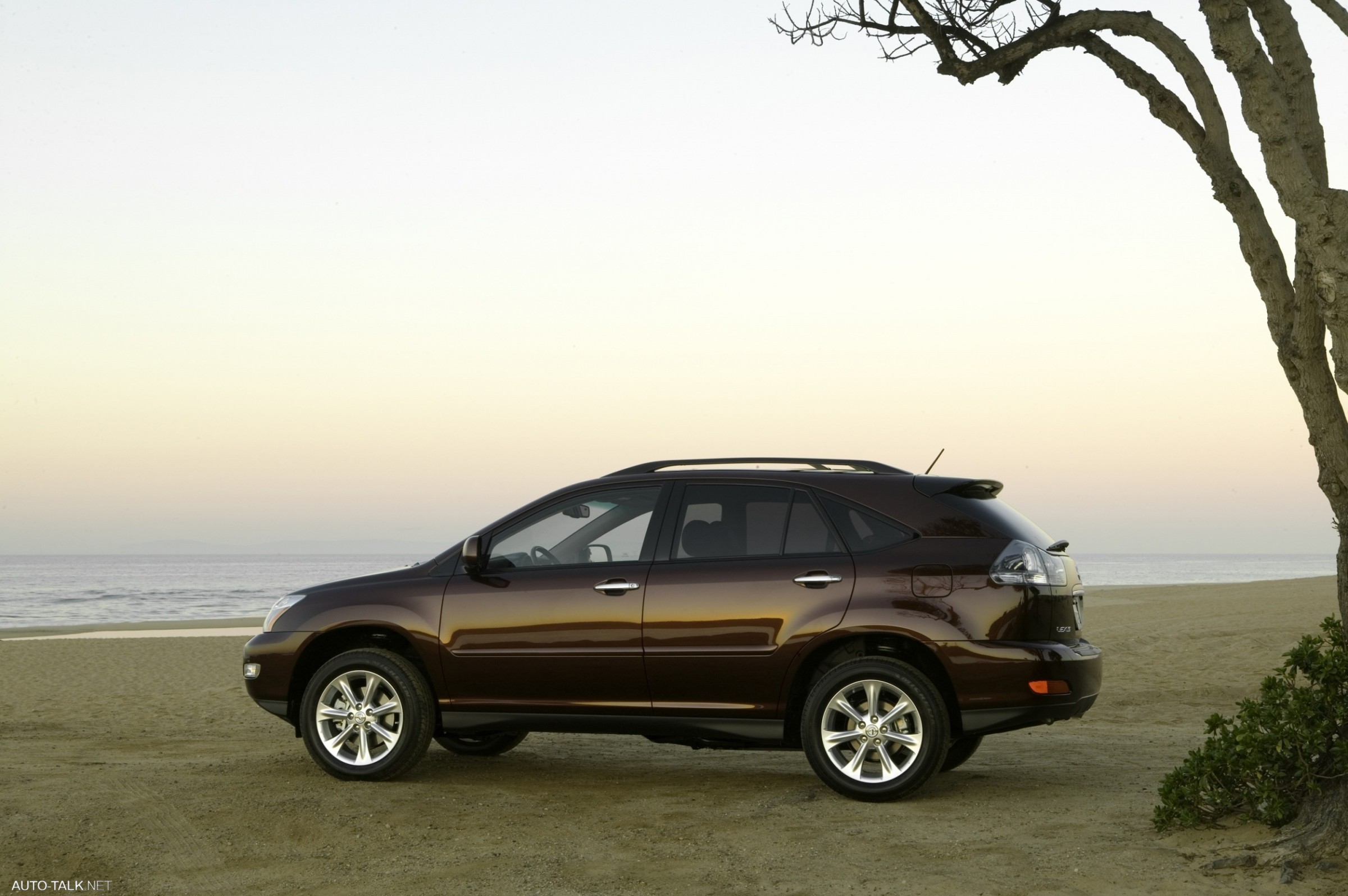 2008 Lexus RX350