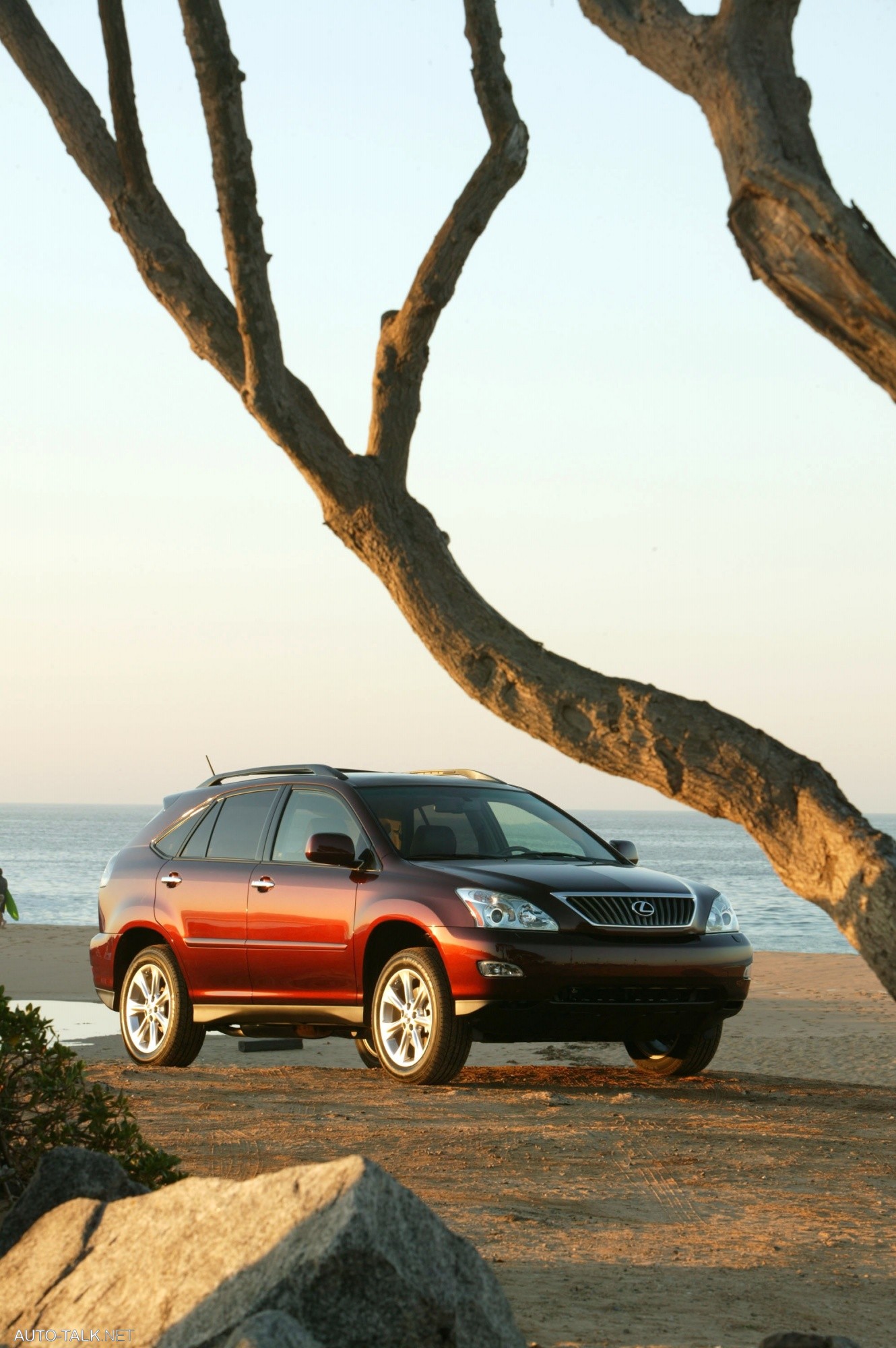 2008 Lexus RX350