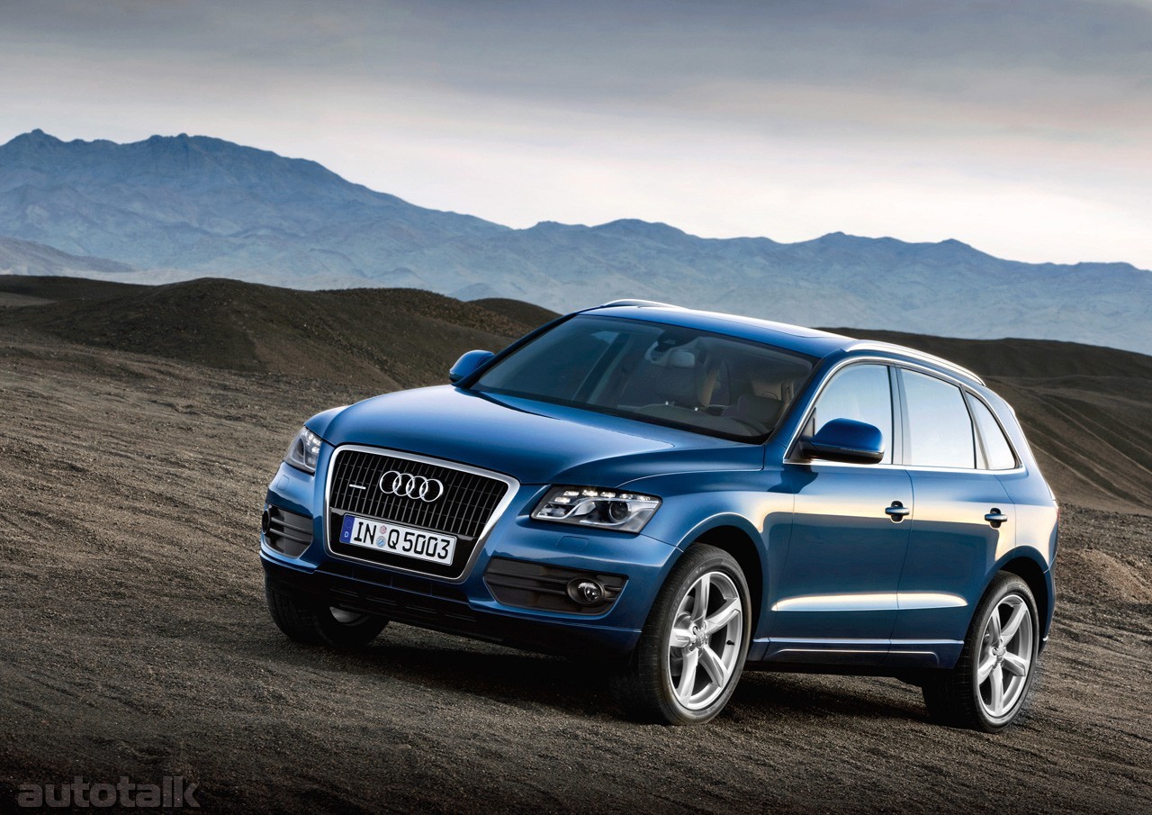 2009 Audi Q5