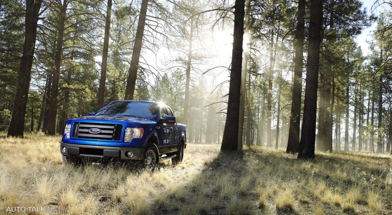 2009 Ford F-150