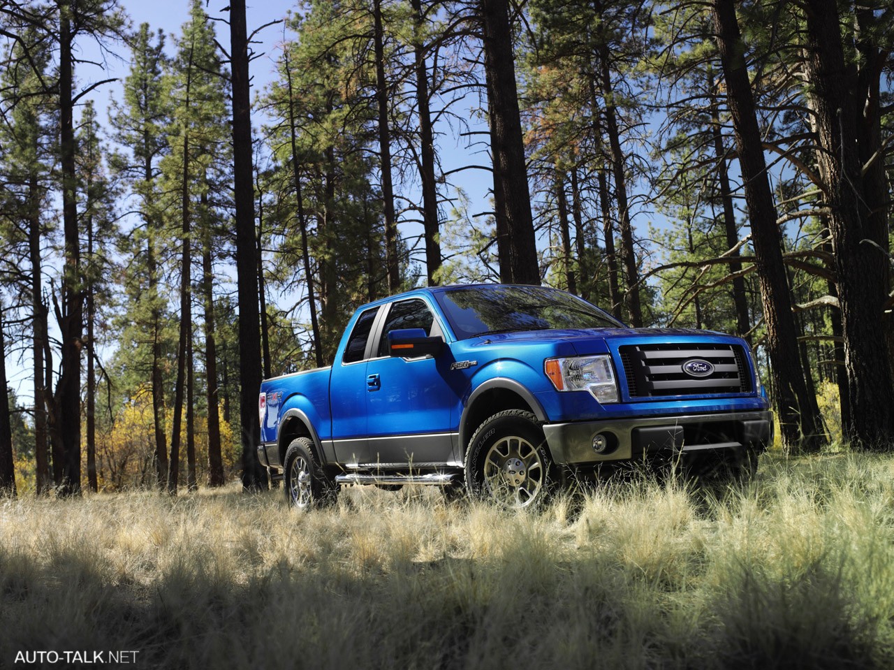 2009 Ford F-150