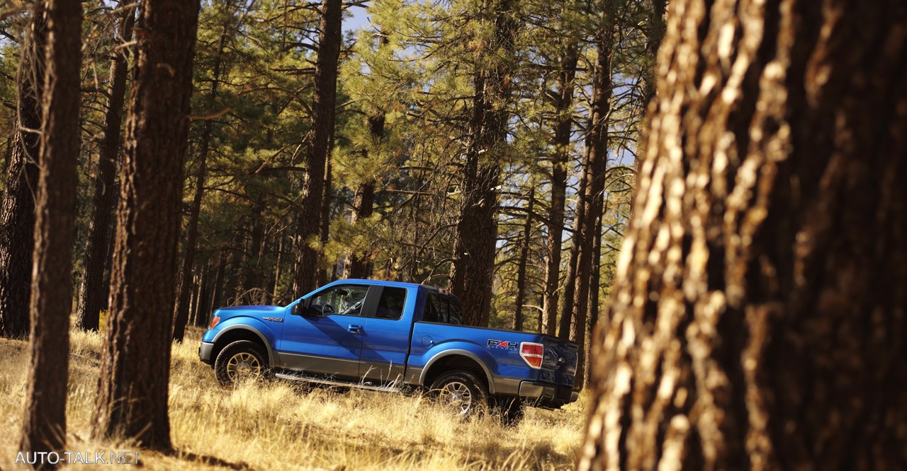 2009 Ford F-150