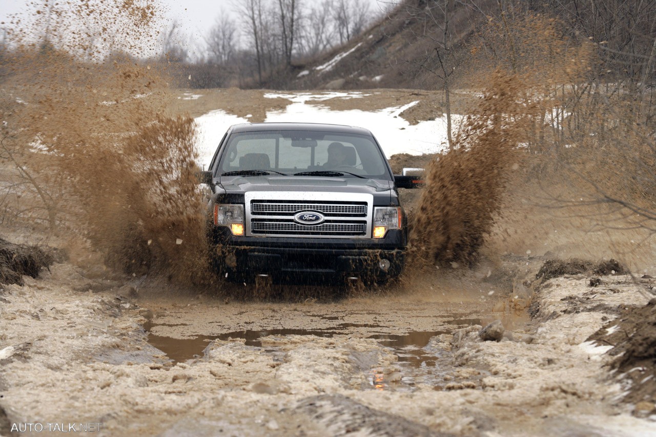 2009 Ford F-150