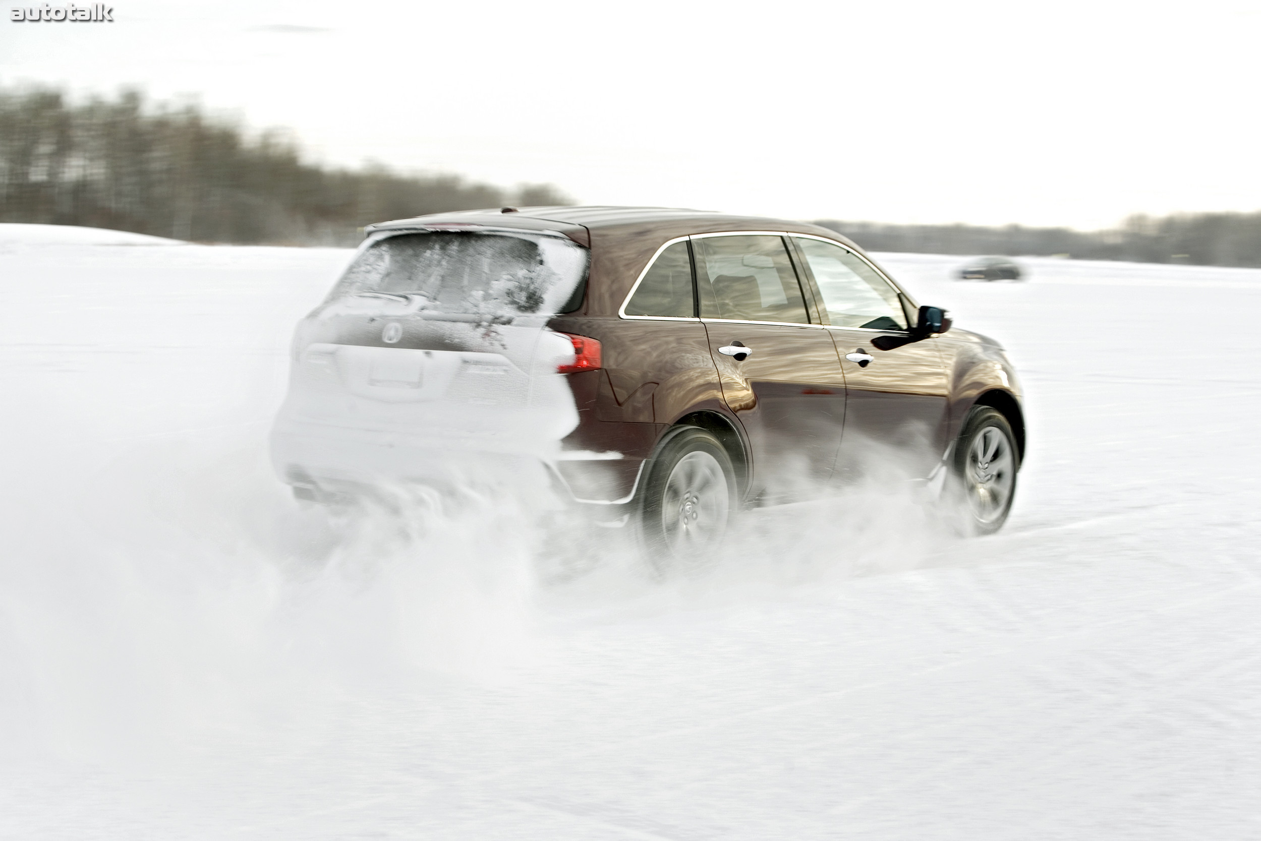 2010 Acura MDX