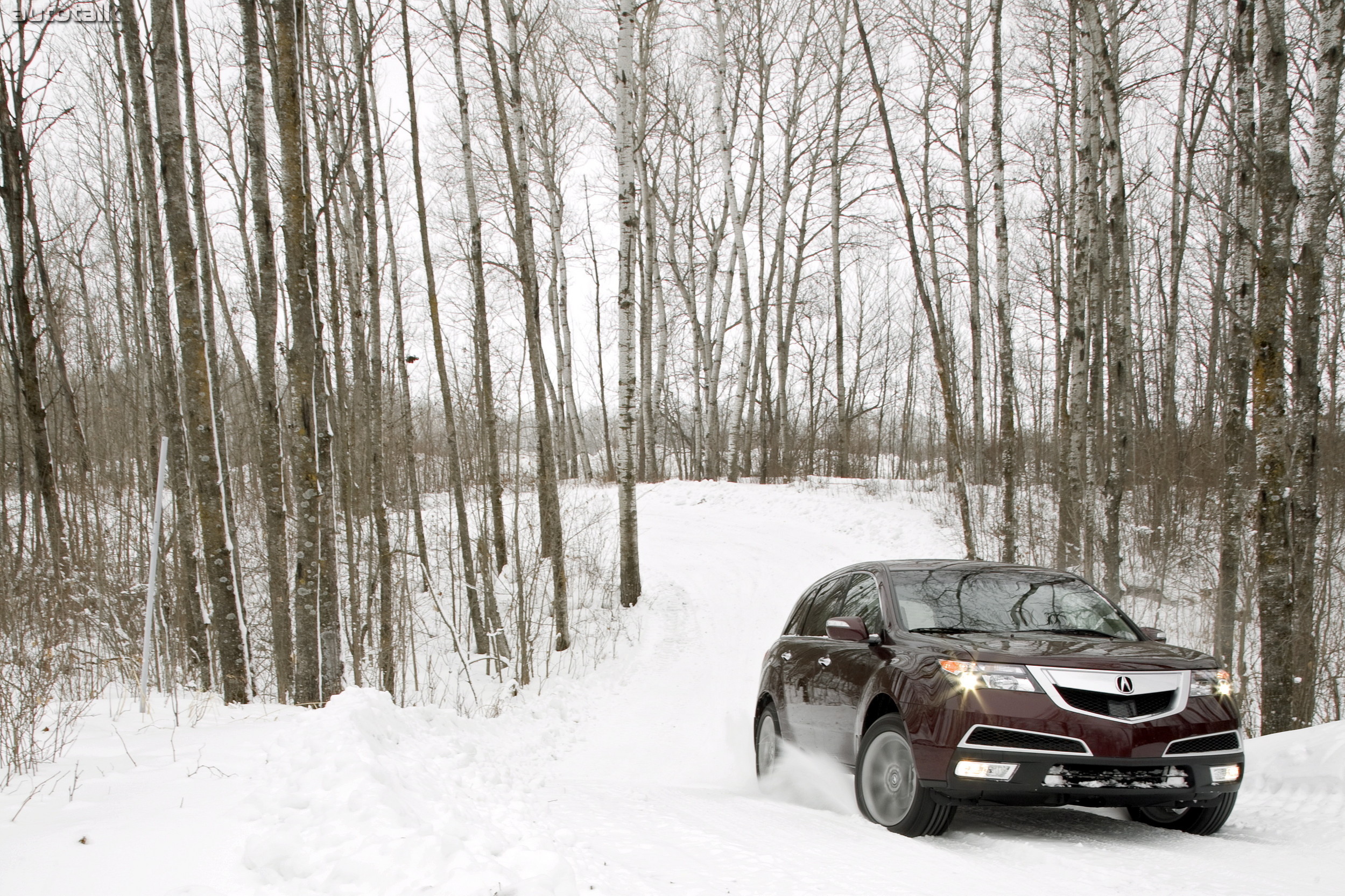 2010 Acura MDX