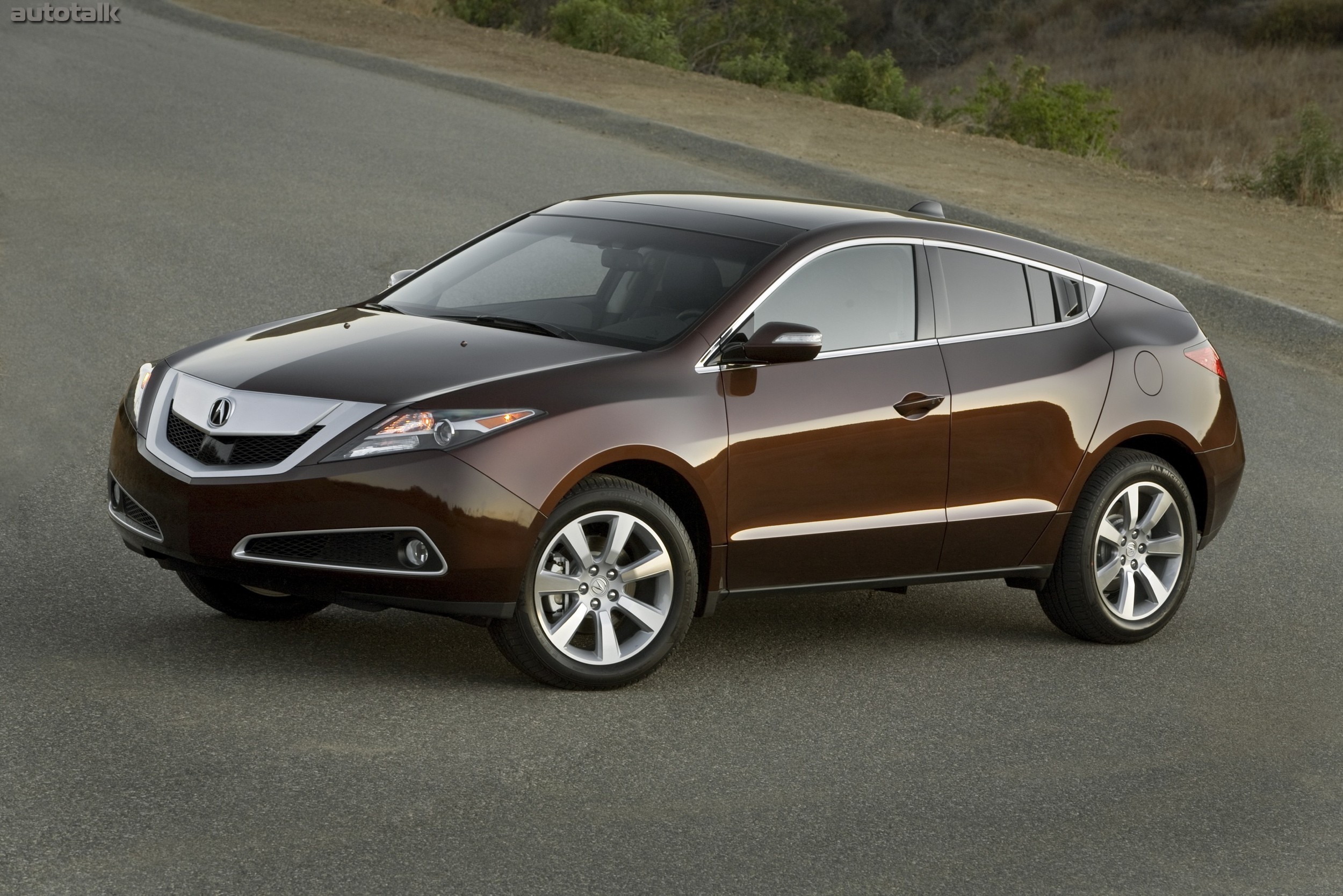 2010 Acura ZDX