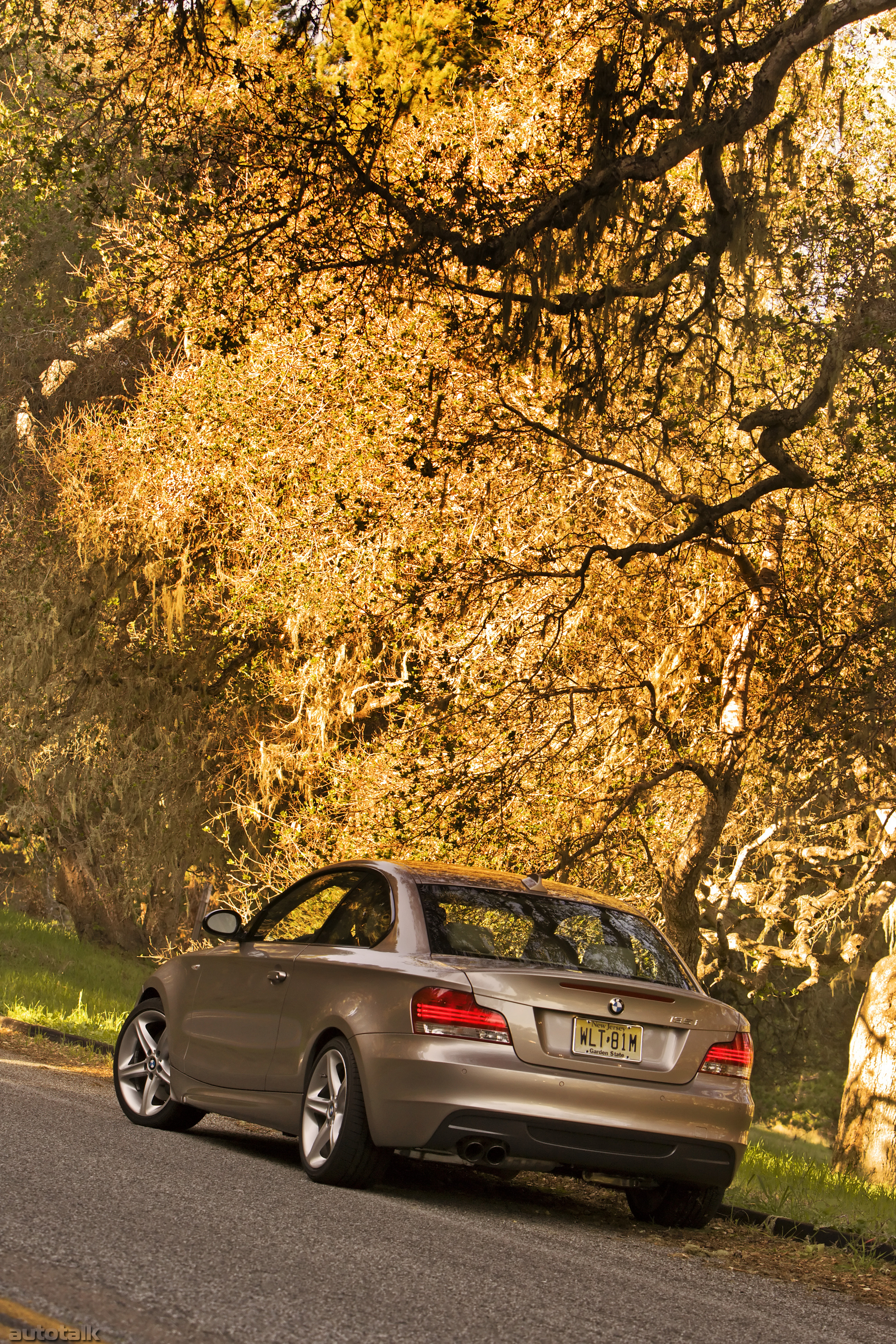 2010 BMW 1 Series Coupe