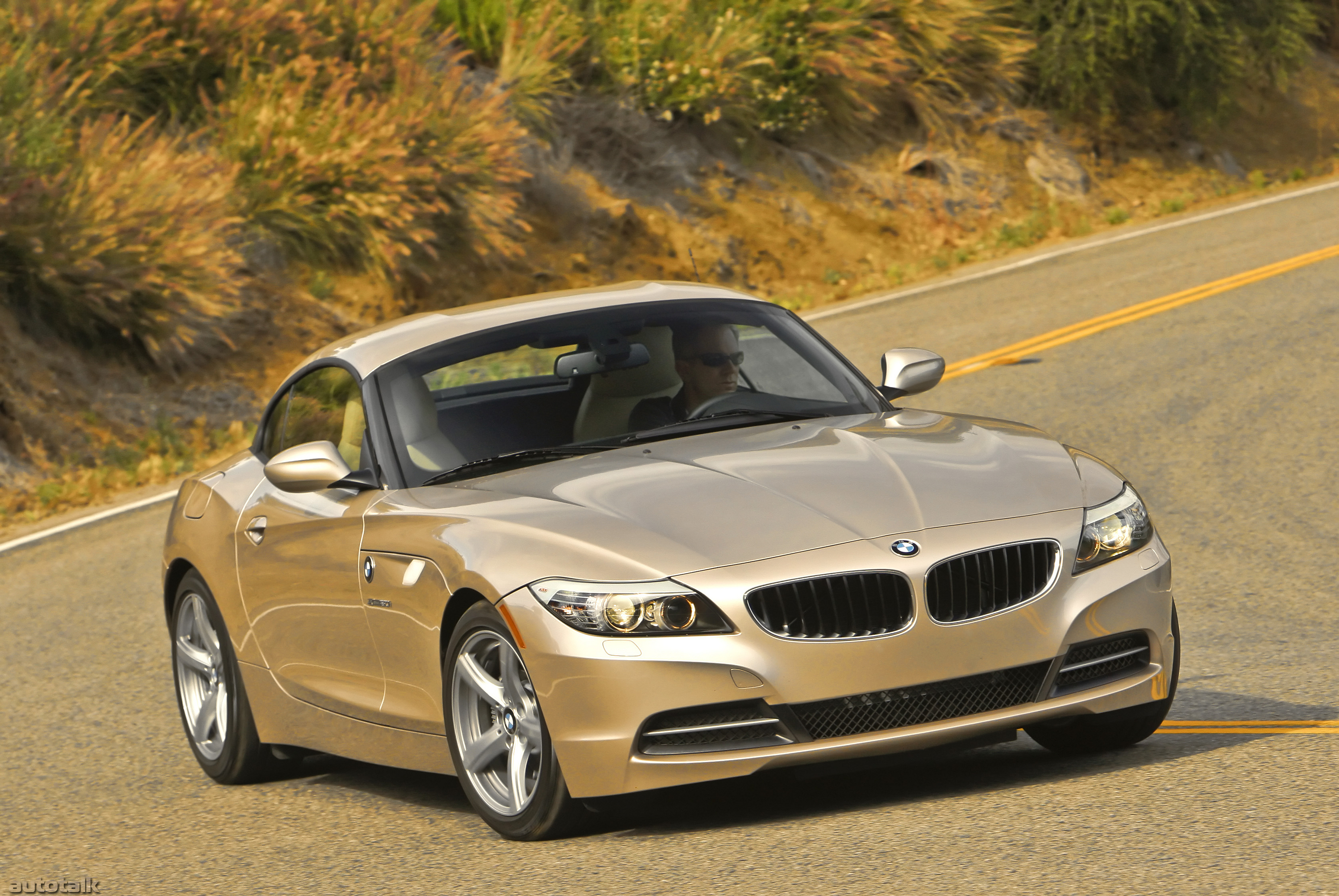 2010 BMW Z4