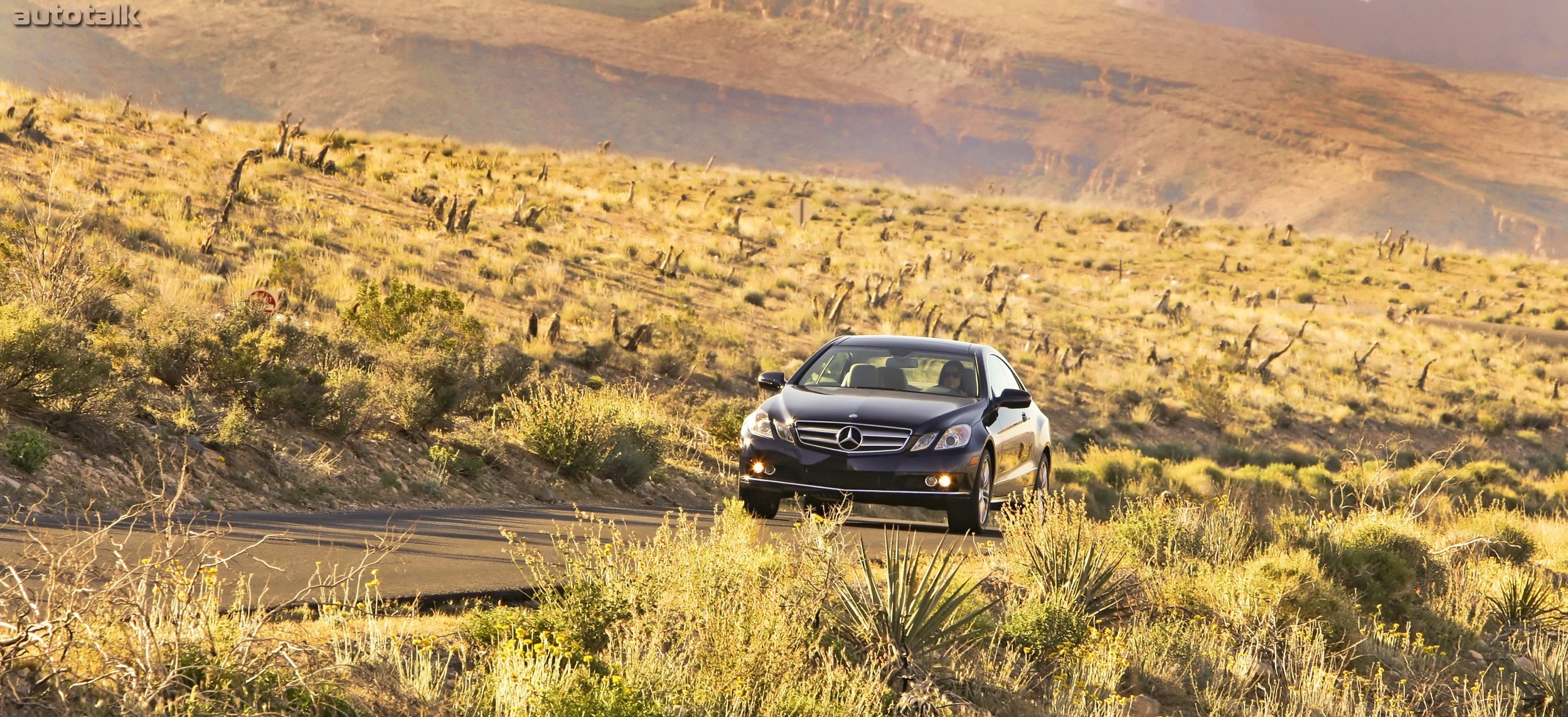 2010 Mercedes-Benz E350 Coupe