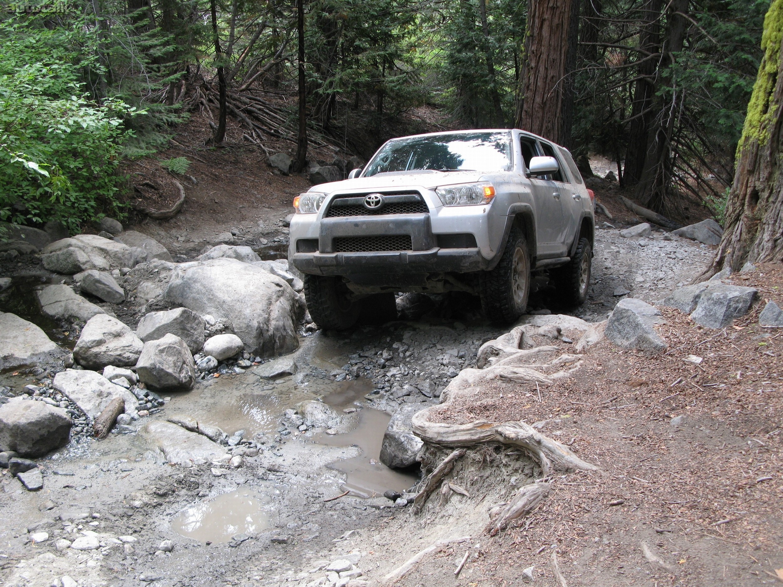 2010 Toyota 4Runner