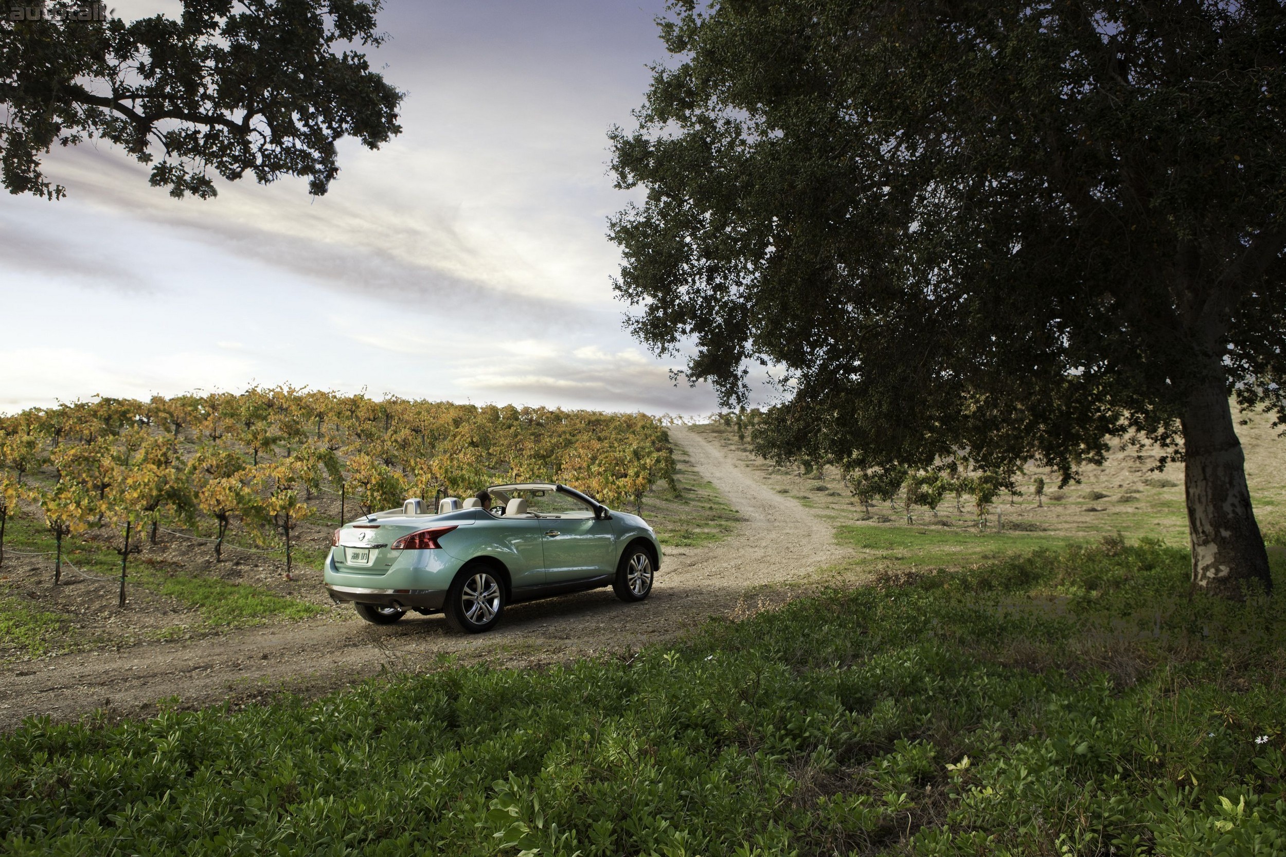 2011 Nissan Murano CrossCabriolet