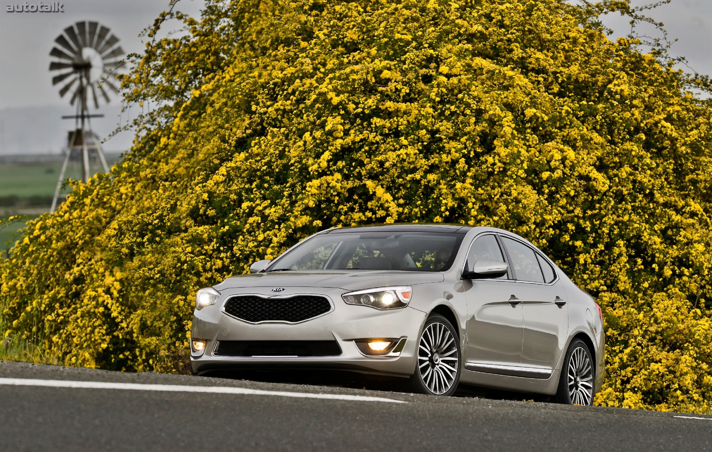 2013 Kia Cadena