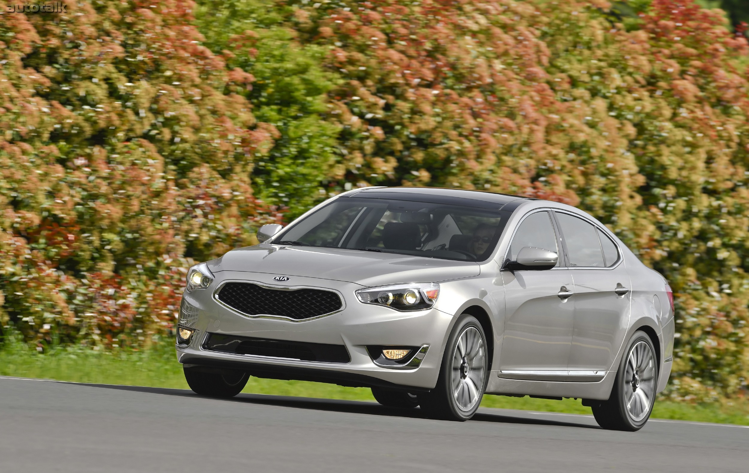 2013 Kia Cadena