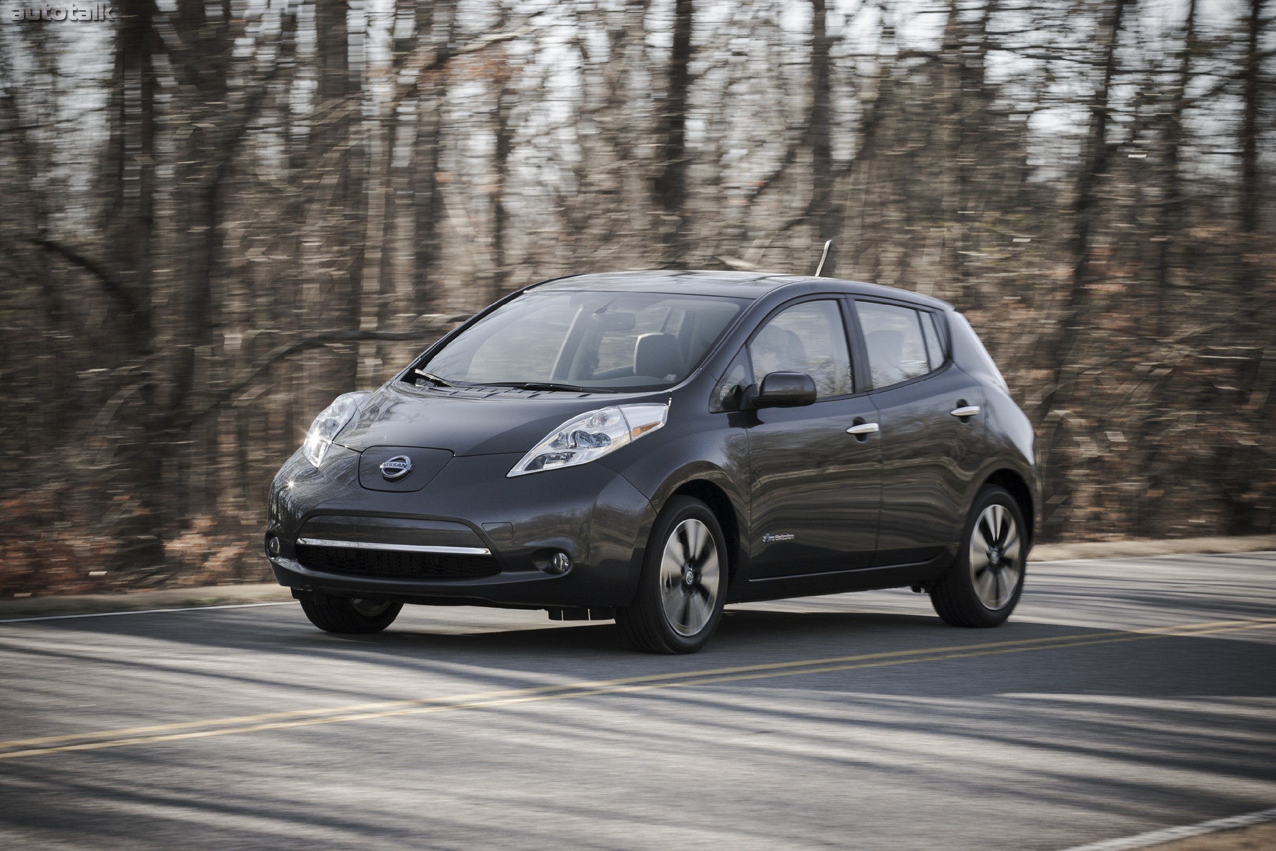 2013 Nissan LEAF