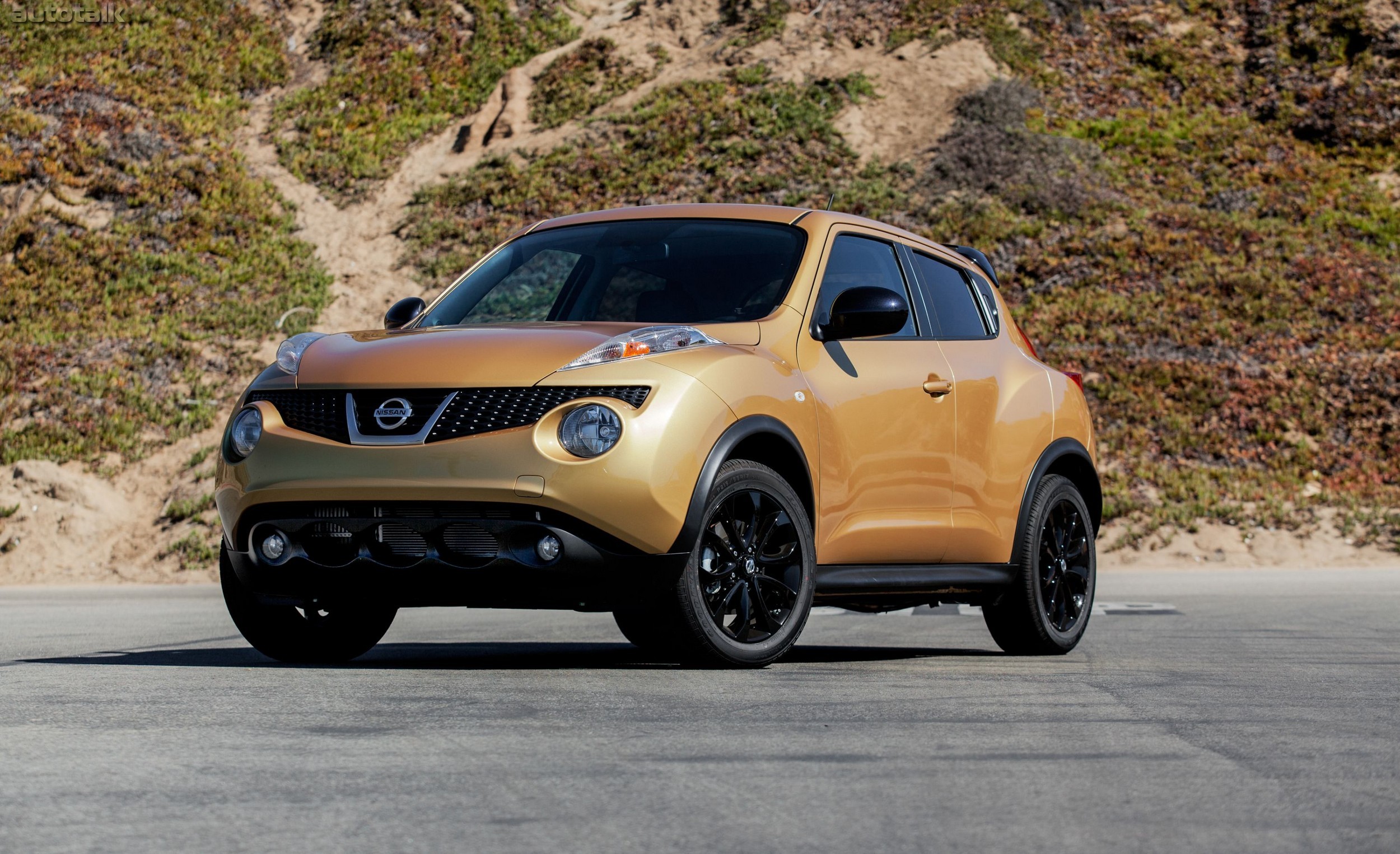 2014 Nissan JUKE