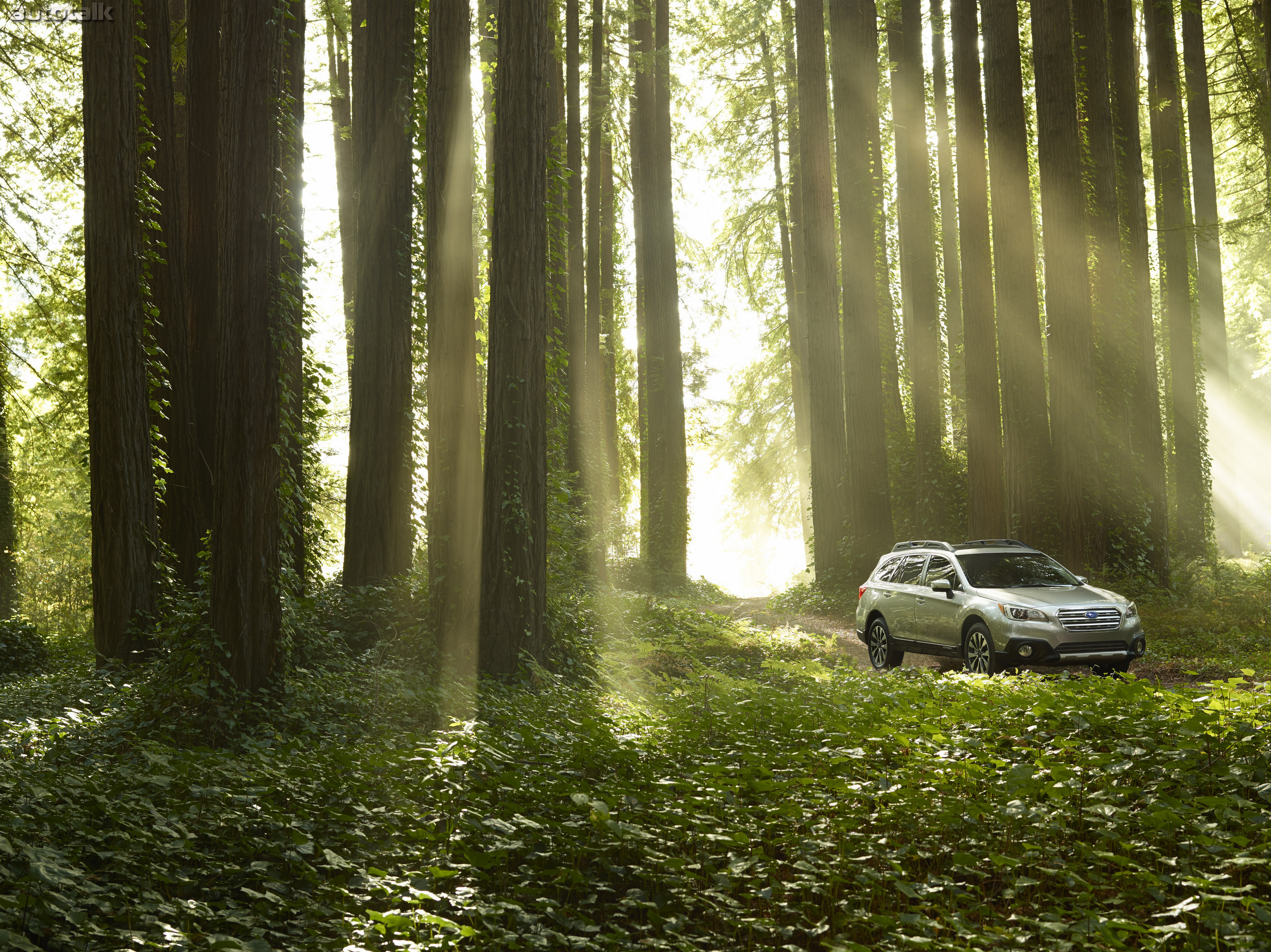 2015 Outback