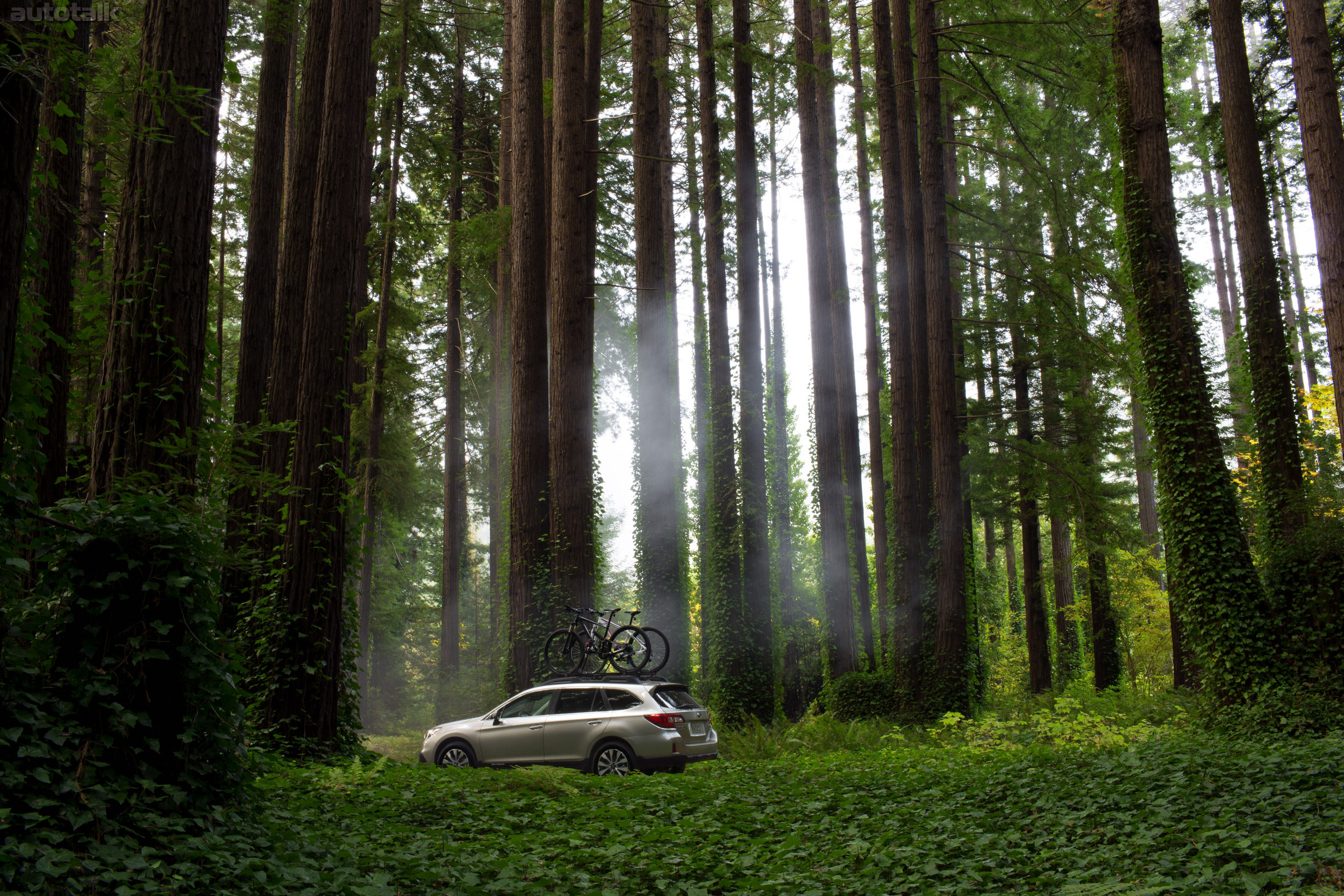 2015 Outback