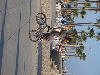 Bike Stunt