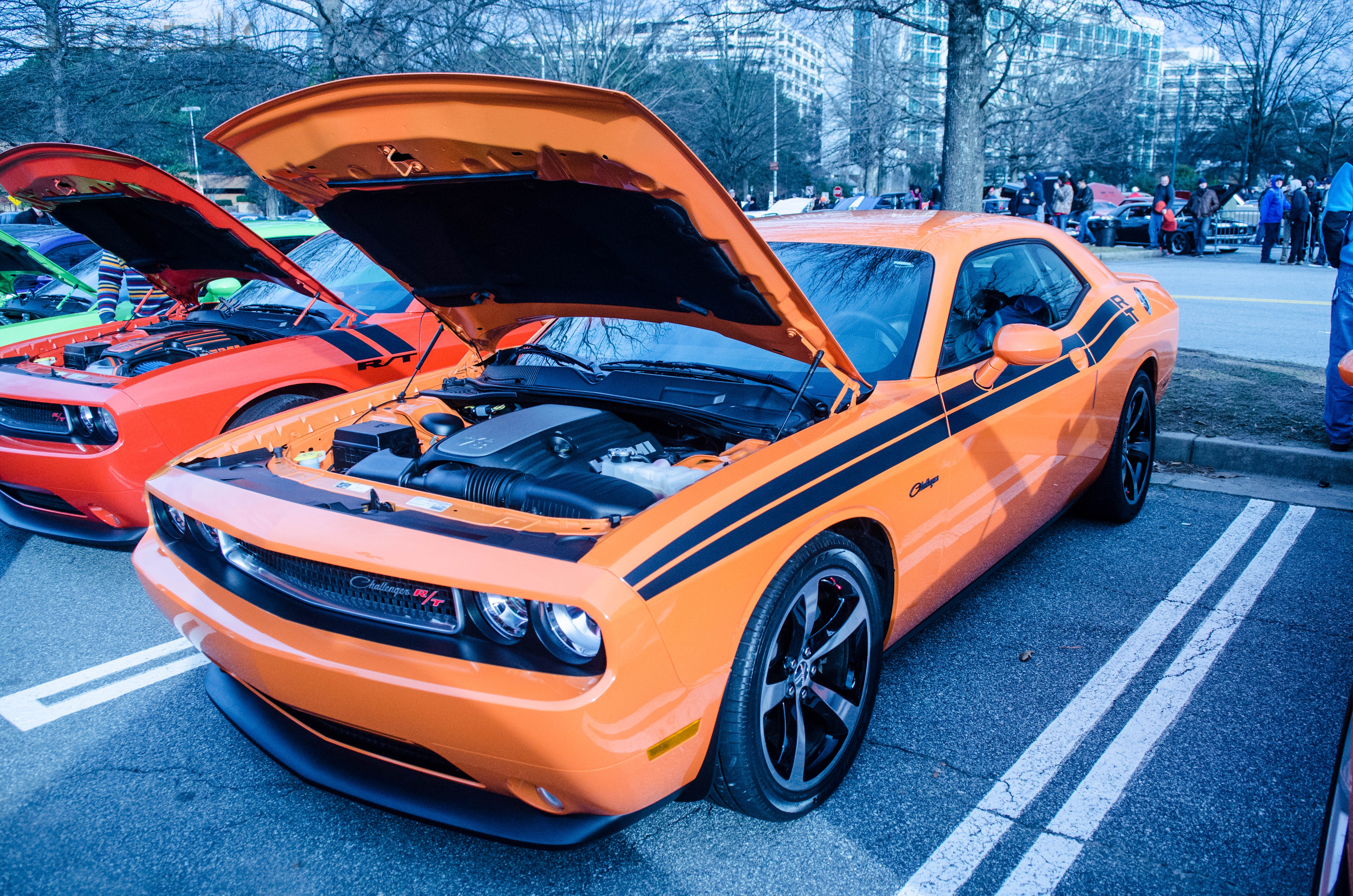 Dodge Challenger at Caffeine & Octane