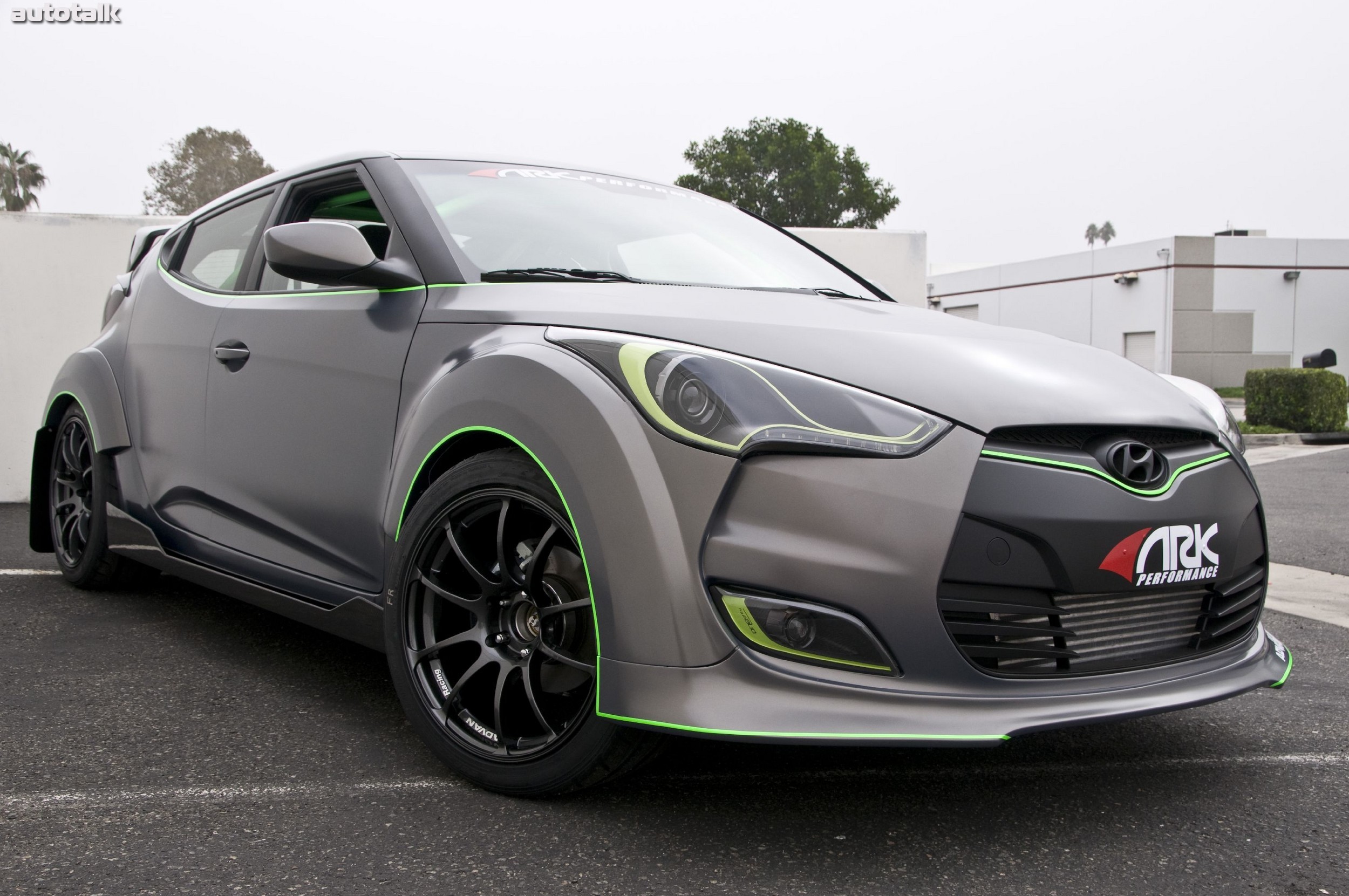 Performance ARK Veloster