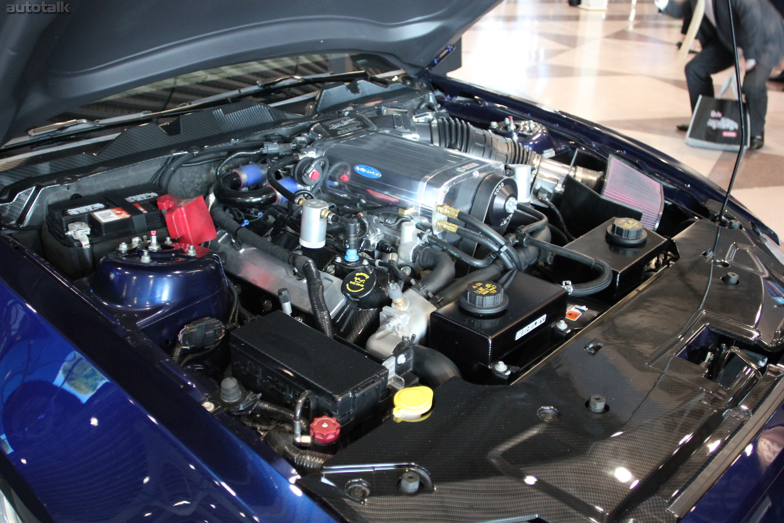 Shelby Booth NYIAS 2012