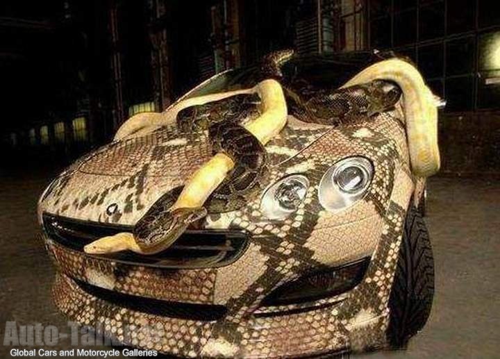 Snake Mobile