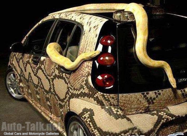 Snake Mobile