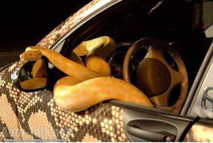 Snake Mobile